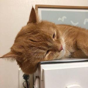 看大嗨嗨美女小老妹儿视频美女骚逼美女操逼吧
