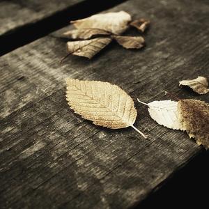 看大嗨嗨美女小老妹儿视频美女骚逼美女操逼吧
